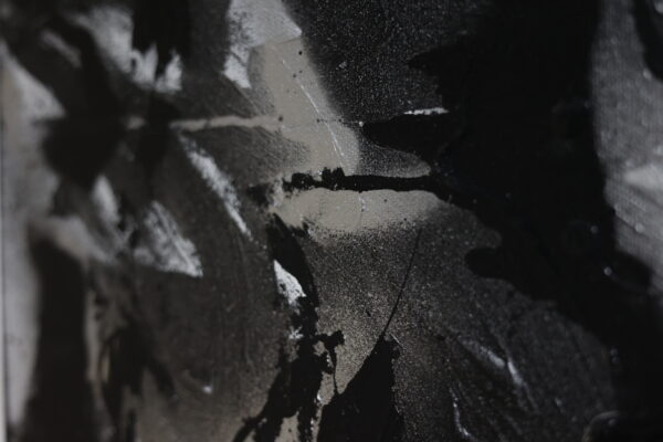 黒と白の融合 - 画像 (4)